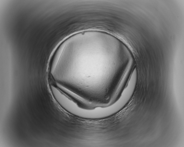 X0000095931532200802081206