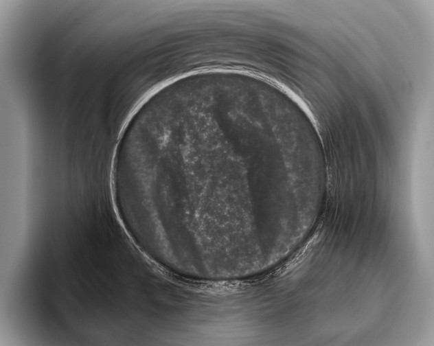 X0000095931533200802081206