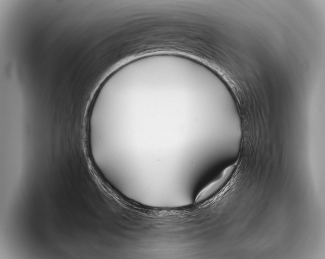 X0000095931534200802081206