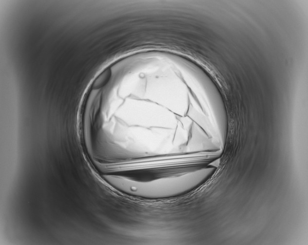 X0000095931535200802081206