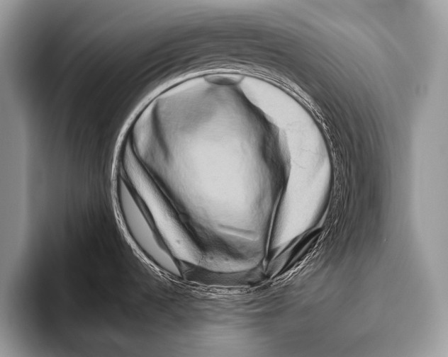 X0000095931536200802081206
