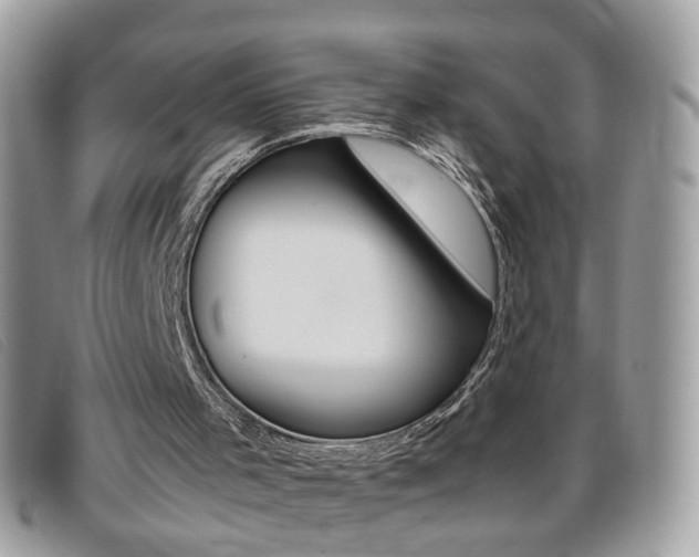 X0000095940001200801110904