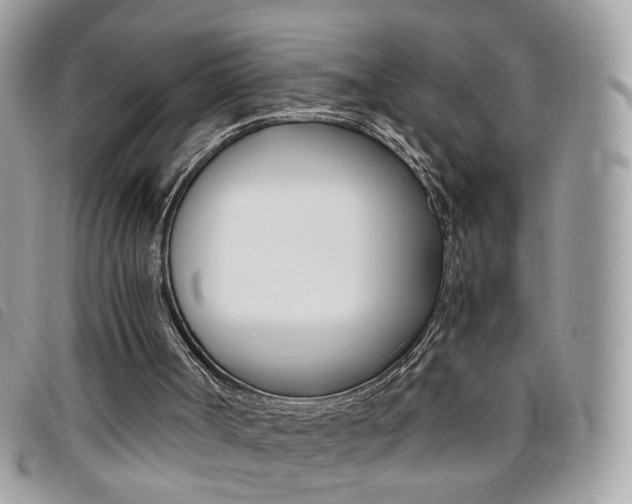 X0000095940002200801110904