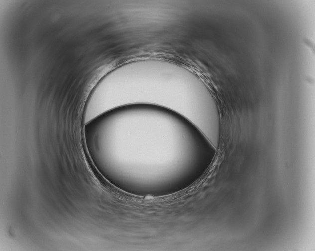 X0000095940003200801110904