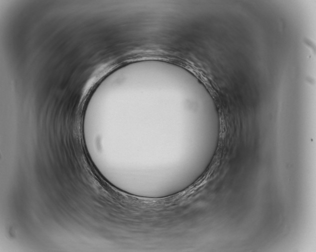X0000095940004200801110904