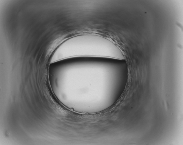 X0000095940005200801110904