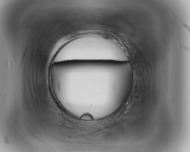 X0000095940006200801110904