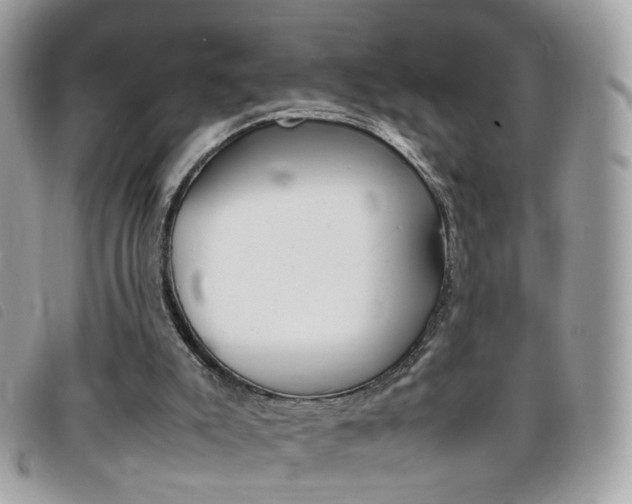 X0000095940007200801110904