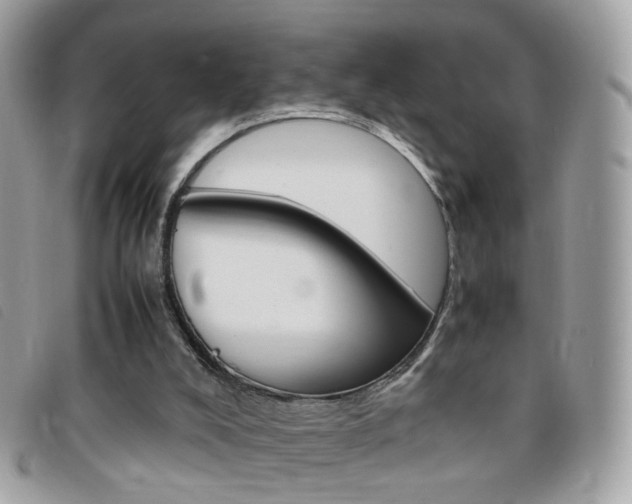 X0000095940008200801110904
