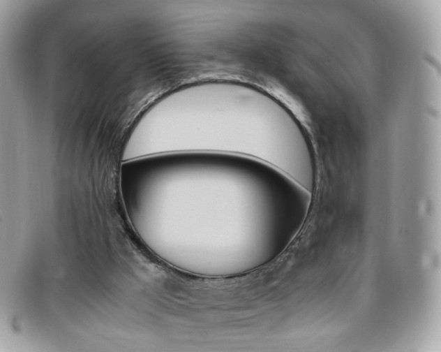 X0000095940009200801110904