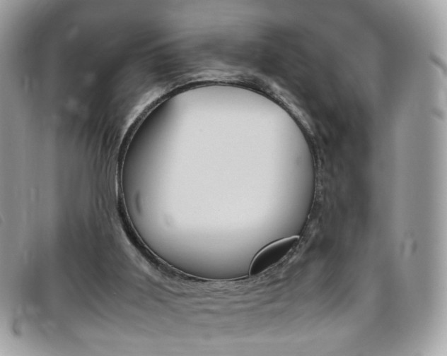 X0000095940011200801110904