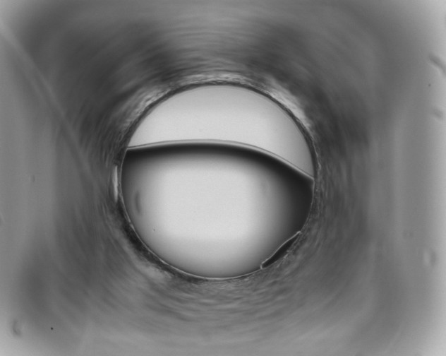 X0000095940013200801110904