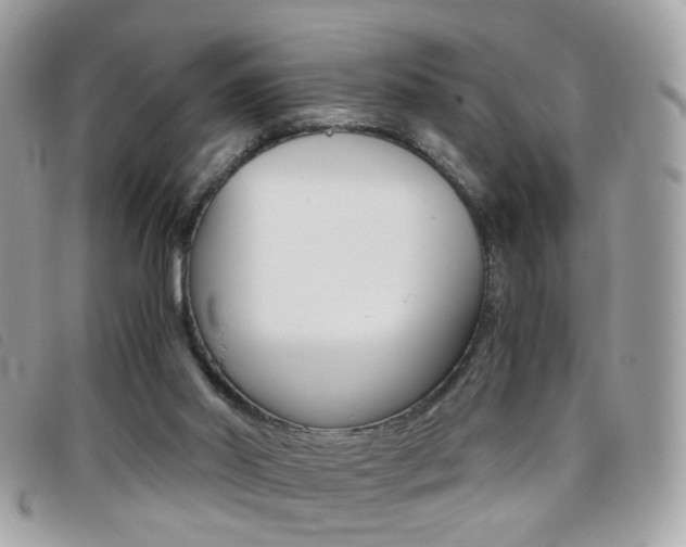 X0000095940014200801110904