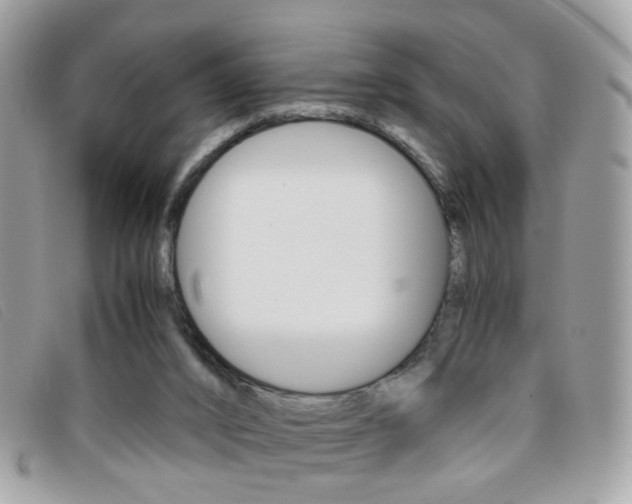 X0000095940016200801110904