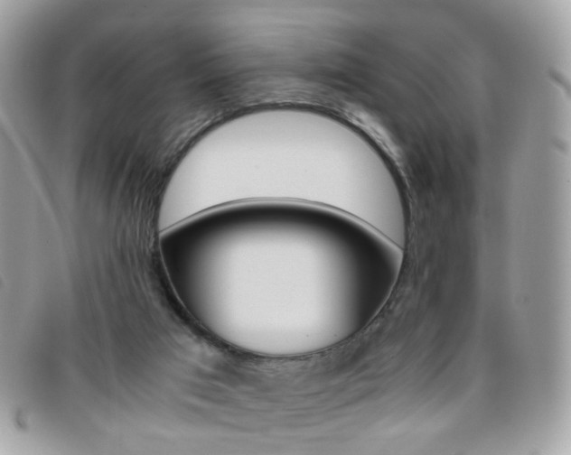 X0000095940017200801110904