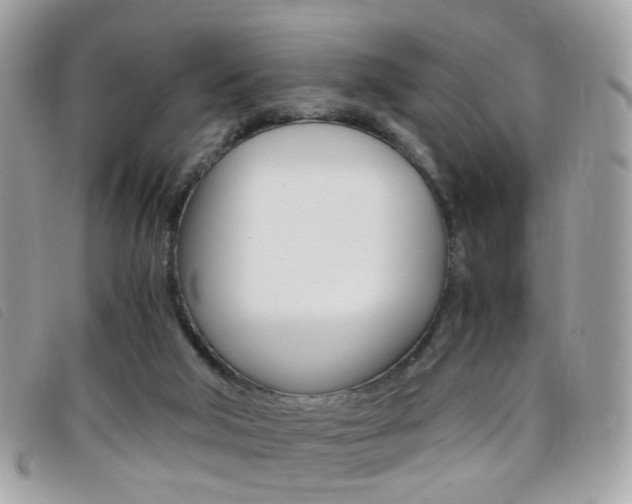 X0000095940018200801110904