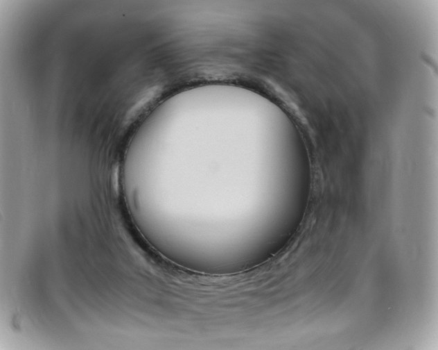 X0000095940019200801110904