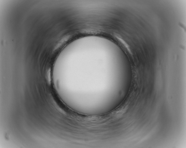 X0000095940020200801110904