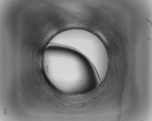 X0000095940023200801110904