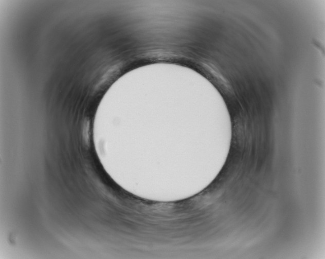 X0000095940024200801110904