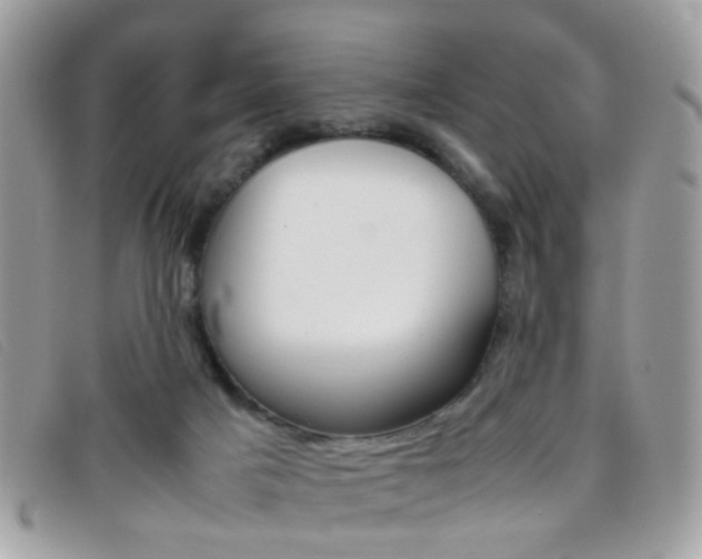 X0000095940025200801110904