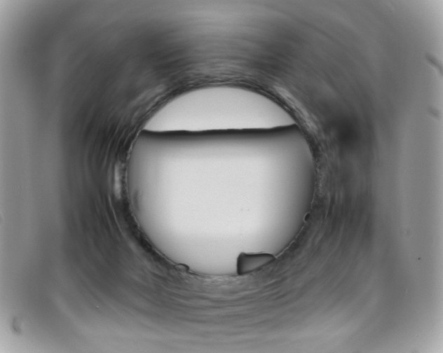 X0000095940026200801110904