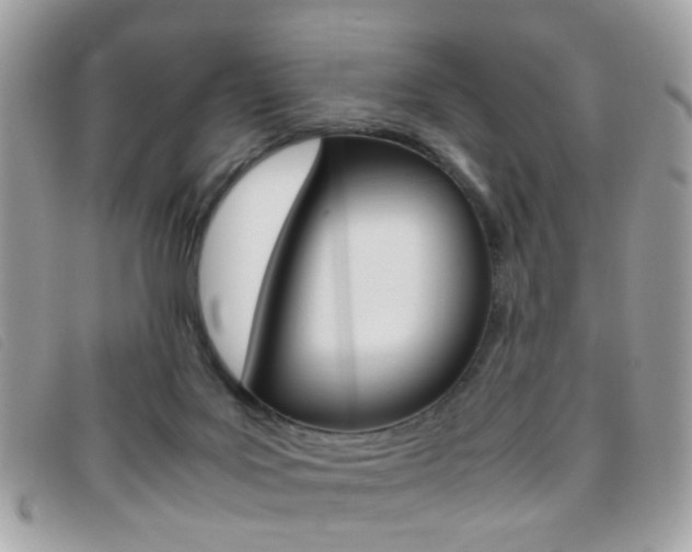 X0000095940027200801110904