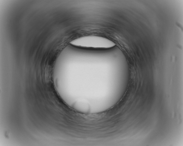 X0000095940030200801110904