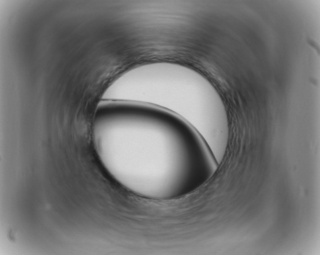 X0000095940031200801110904