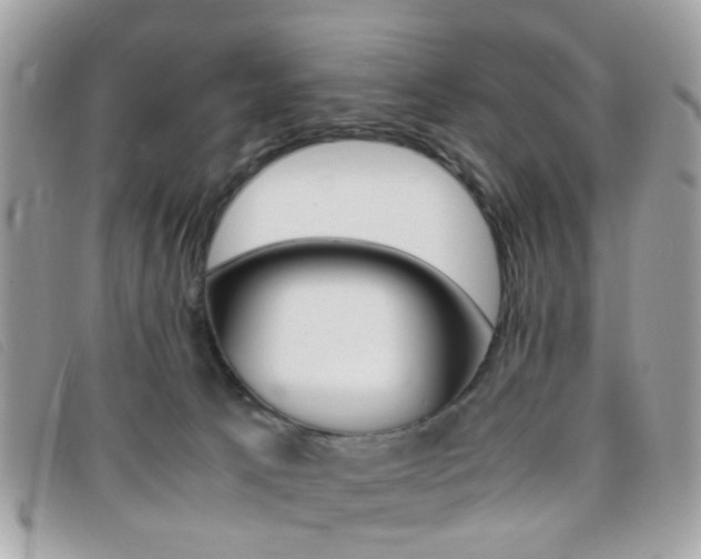 X0000095940033200801110904