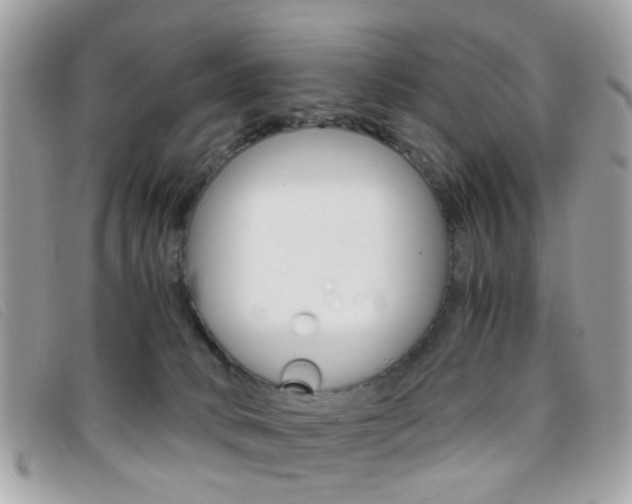 X0000095940034200801110904