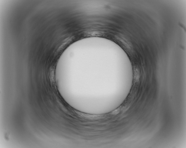 X0000095940036200801110904