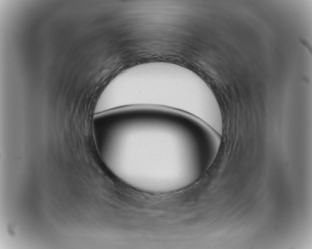 X0000095940039200801110904