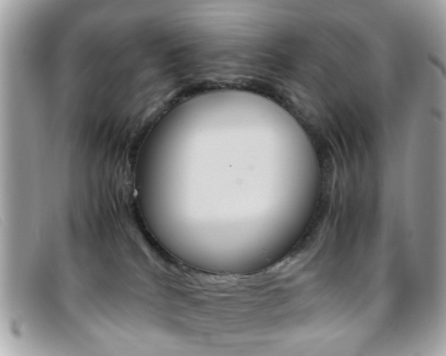 X0000095940040200801110904