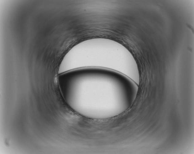 X0000095940041200801110904