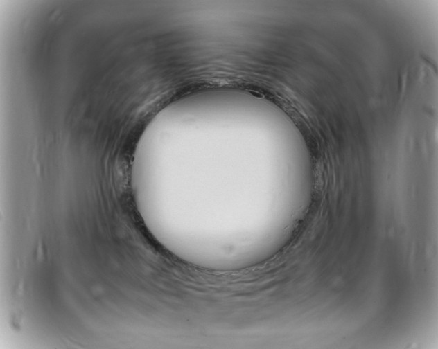 X0000095940043200801110904