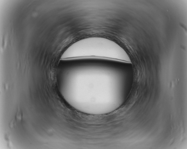 X0000095940044200801110904