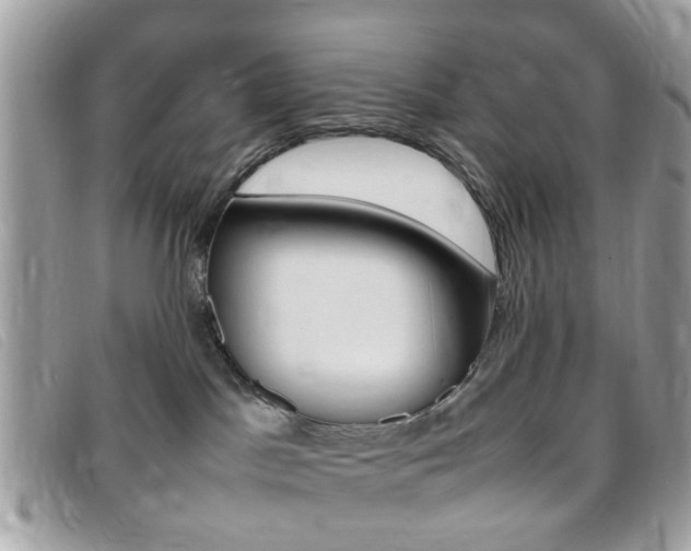 X0000095940045200801110904