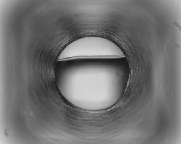 X0000095940048200801110904