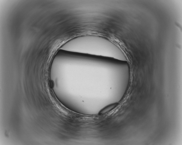 X0000095940049200801110903