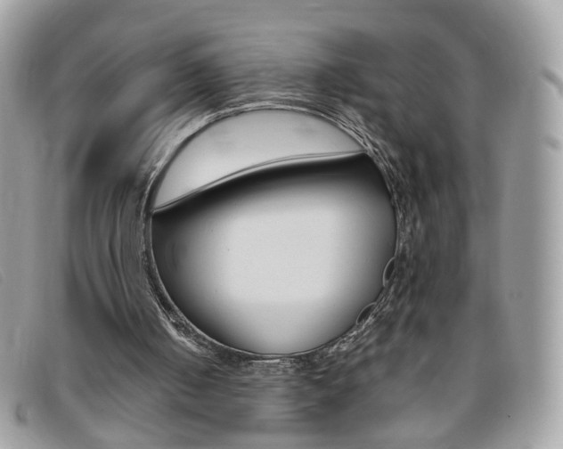 X0000095940050200801110903