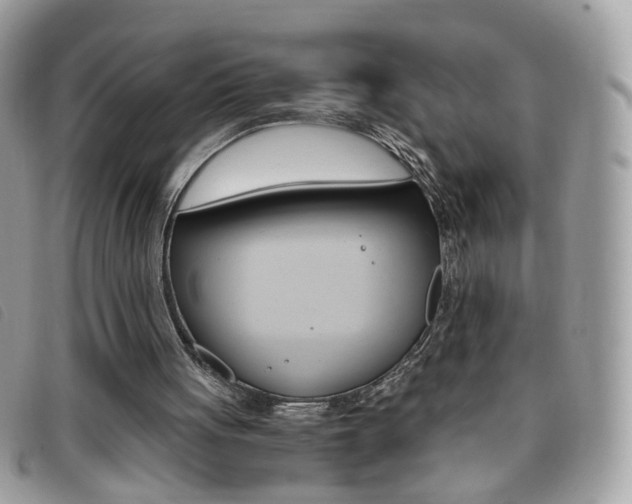 X0000095940051200801110903