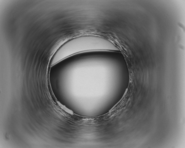 X0000095940052200801110903