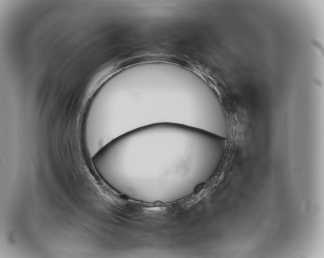 X0000095940053200801110903