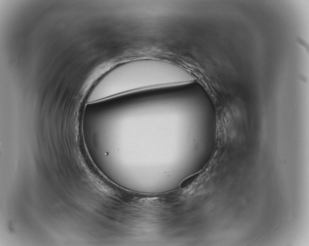 X0000095940054200801110903