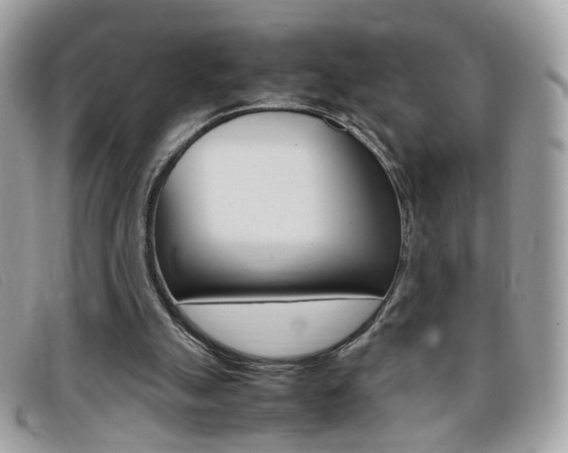 X0000095940055200801110903