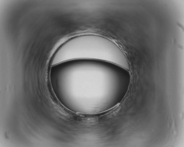 X0000095940056200801110903