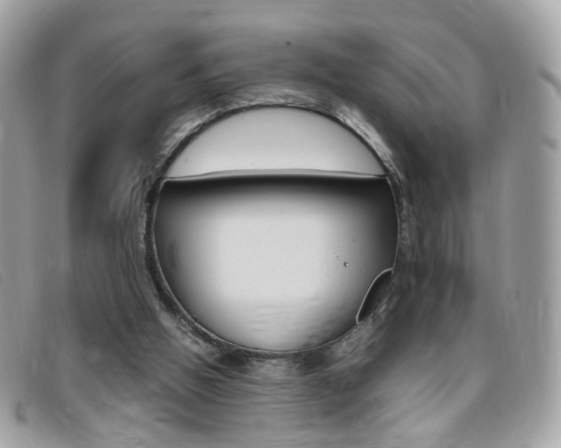 X0000095940058200801110903