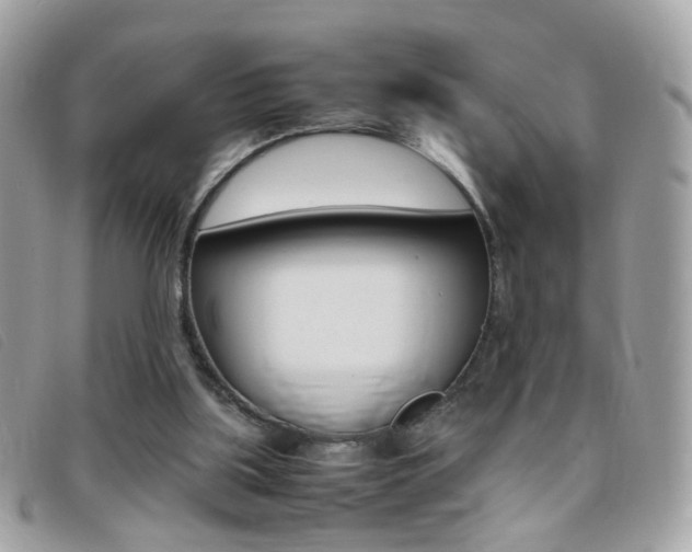 X0000095940059200801110903