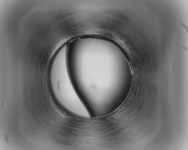X0000095940060200801110903